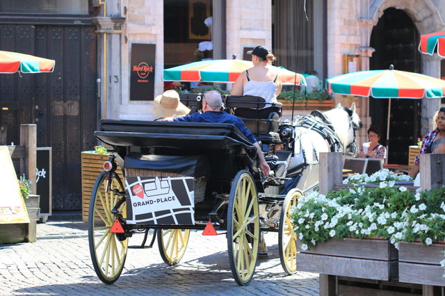 bruxelles a cheval