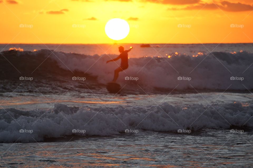 Surfer's Paradise