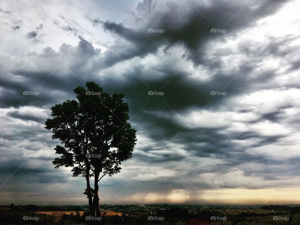 🌅Desperta, #Jundiaí!
Ótimo #domingo a todos.
🍃
#sol
#sun
#sky
#céu
#photo
#nature
#manhã
#morning
#alvorada
#natureza
#horizonte
#fotografia
#paisagem
#inspiração
#amanhecer
#mobgraphy
#FotografeiEmJundiaí