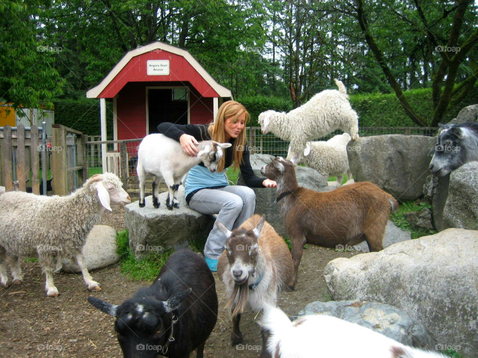 Goat Girl, Petting Zoo Adventures at Maplewood Farm, Animals Farm Barn Pet Petting Sheep Babies Funny Redhead