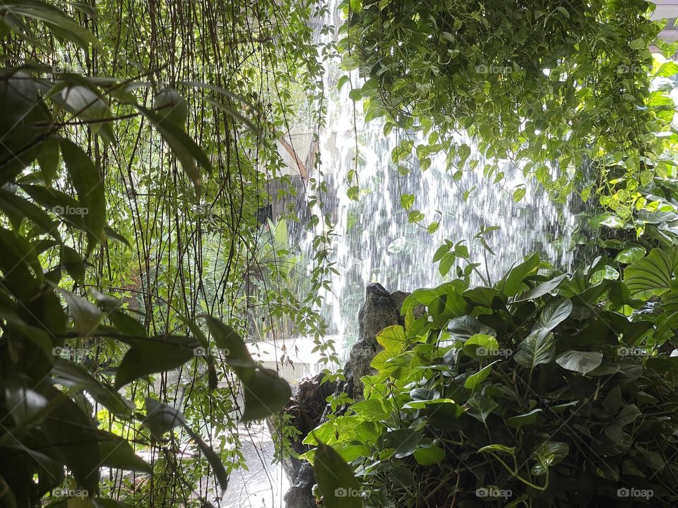 Inside garden with artificial waterfall