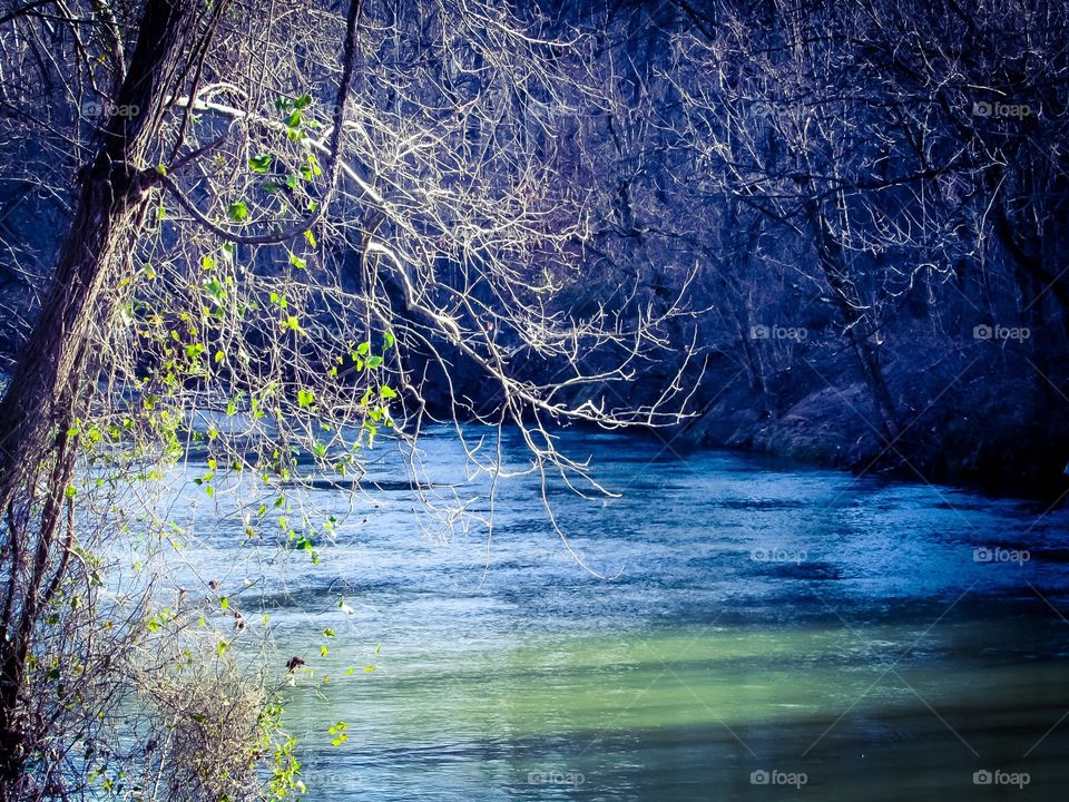 Cold river in winter