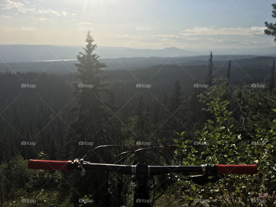 View behind handlebars