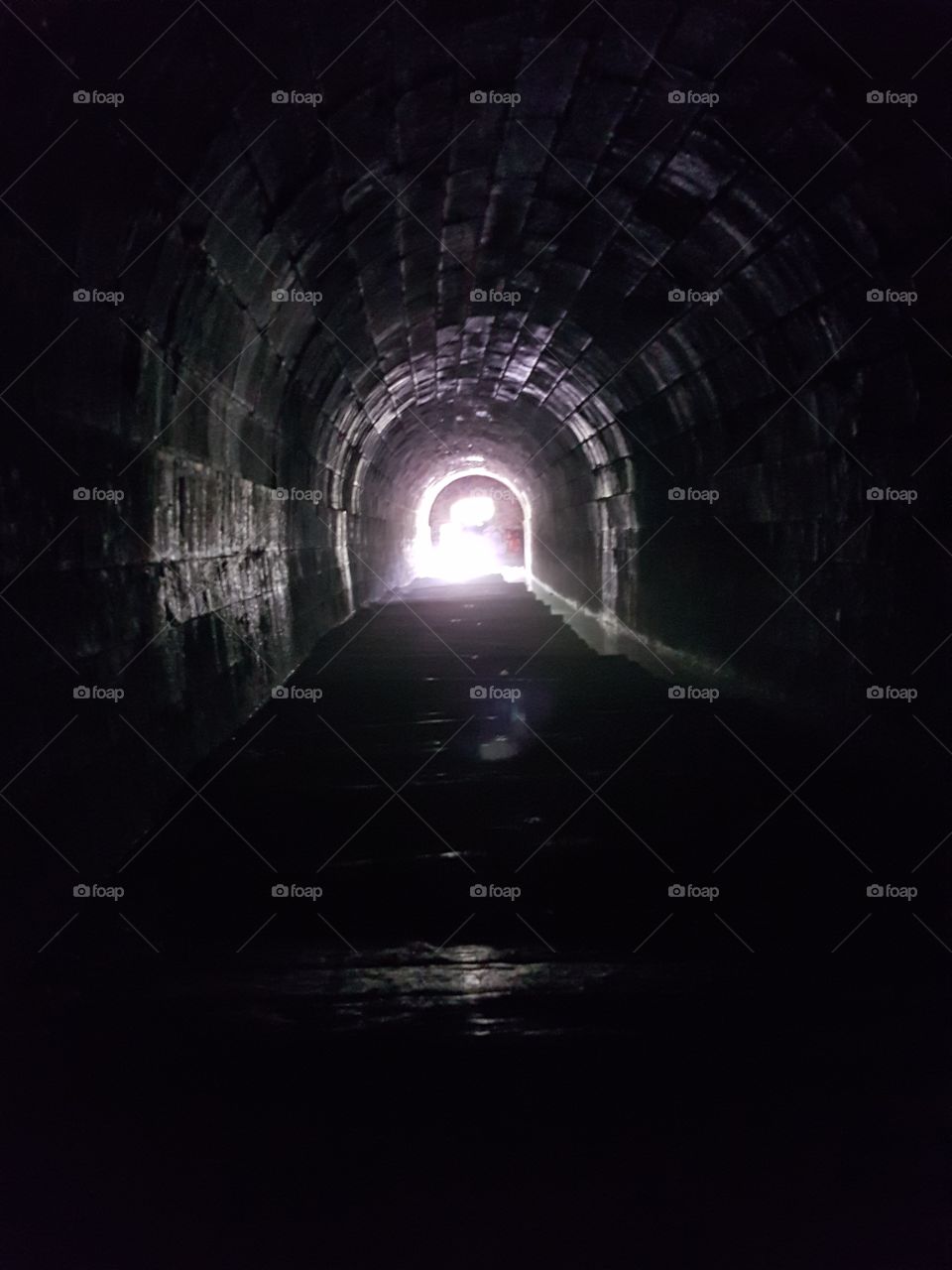 screaming tunnel