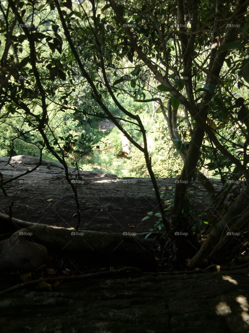 this picture i capture by on rock it's dark and bright mix picture. i think so it's beautiful