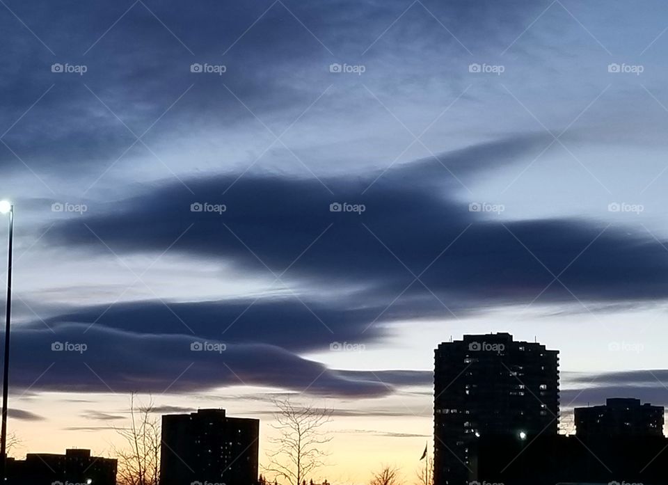 Dolphin-like clouds in the sky
