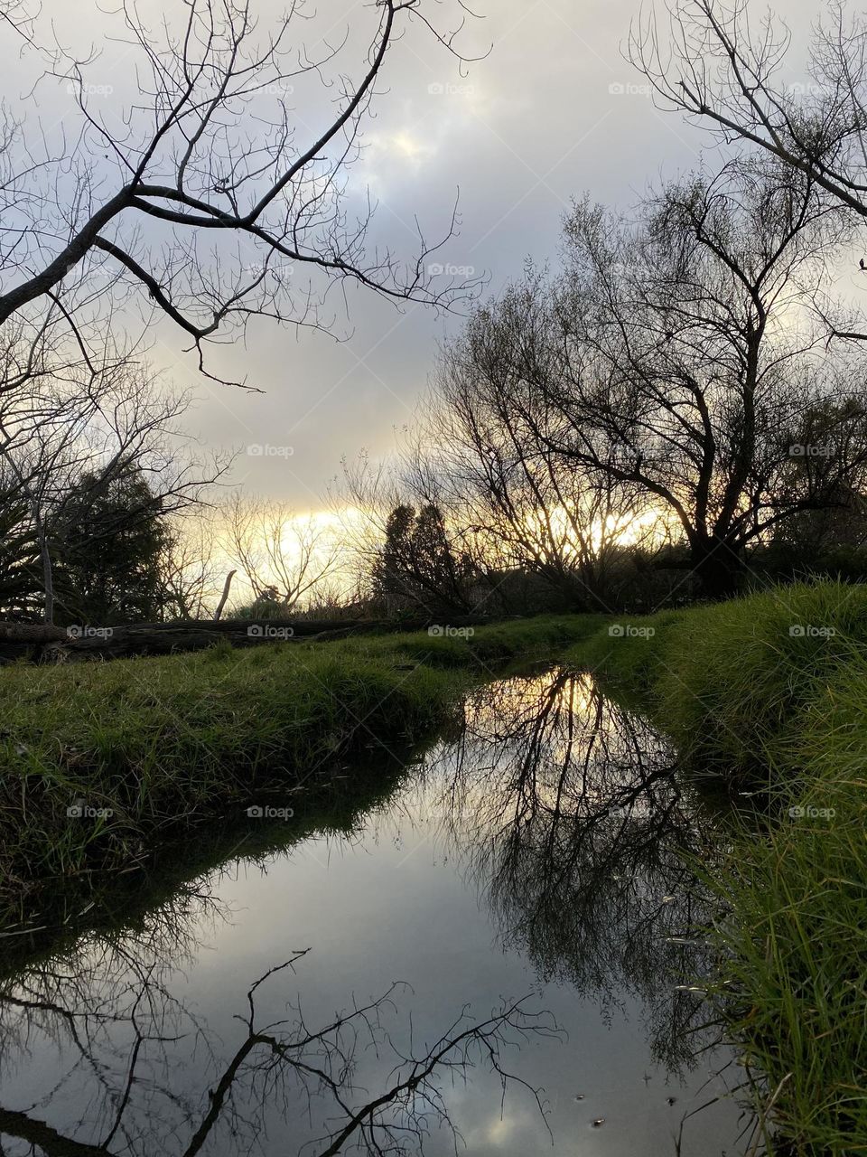 Crisp winters morning 