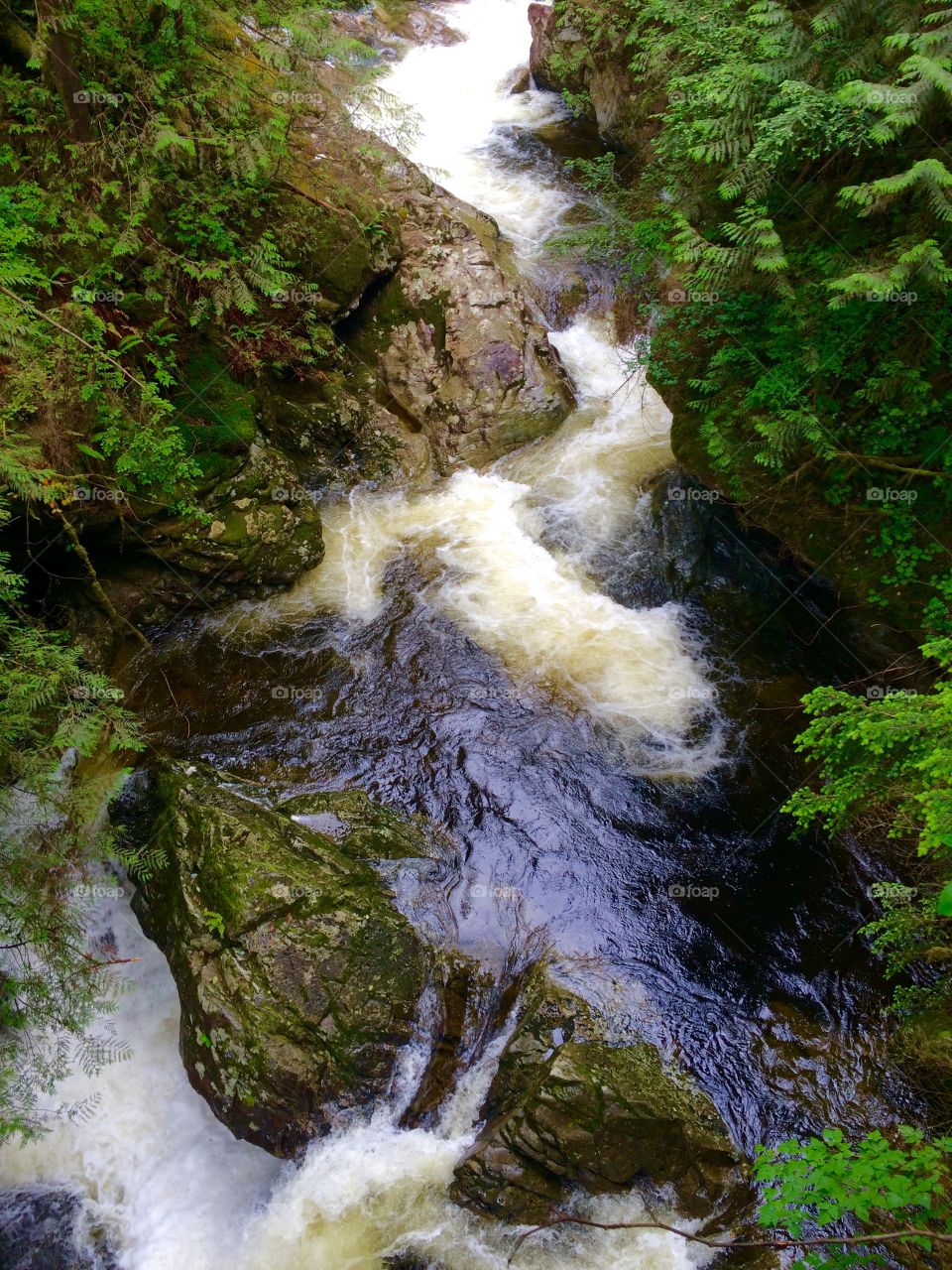 Small stream with bubbling falls