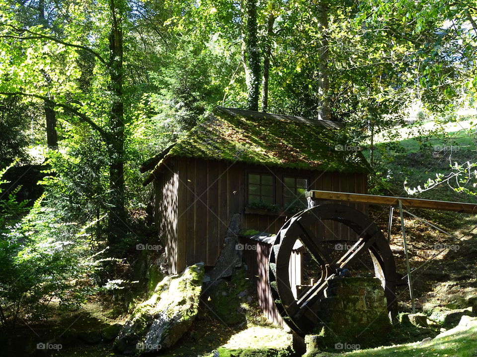 Kurpark in Bad Wildbad