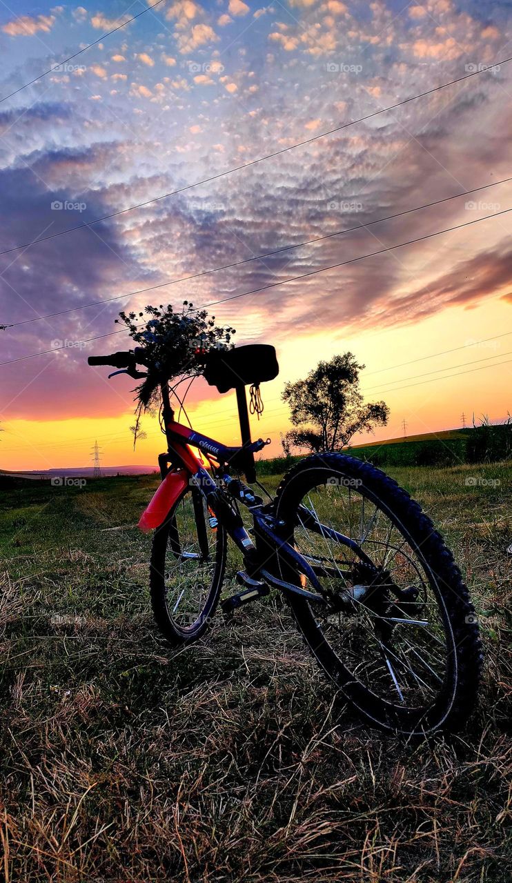 🌞🌼🌸💐 BIKES  - SUNSET