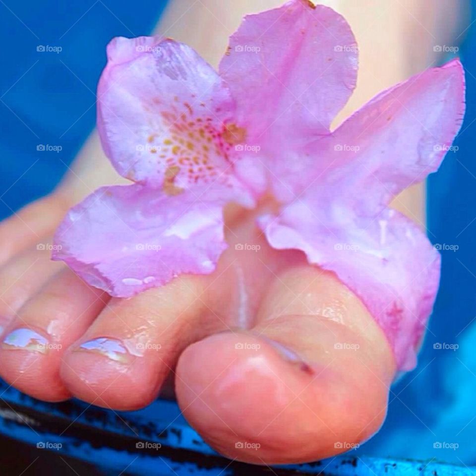 Flower Foot in Color