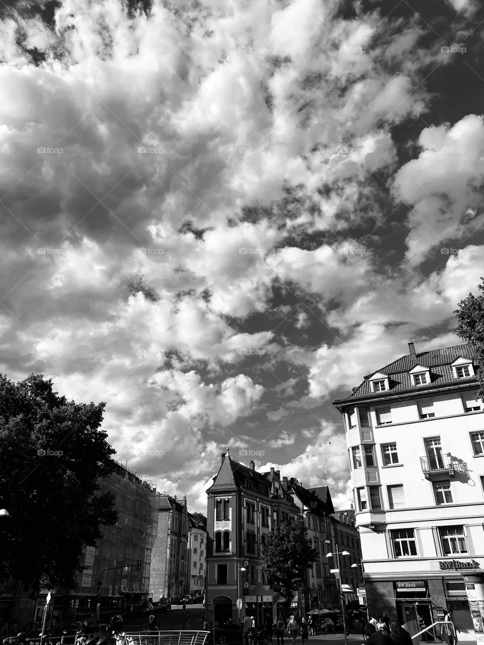 Street 