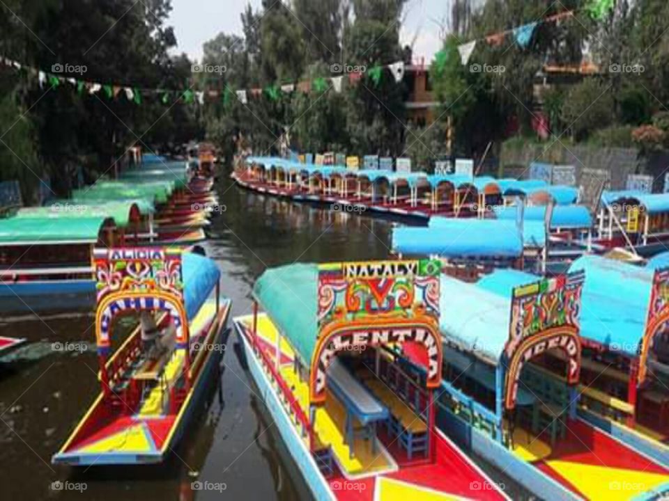 colored boats