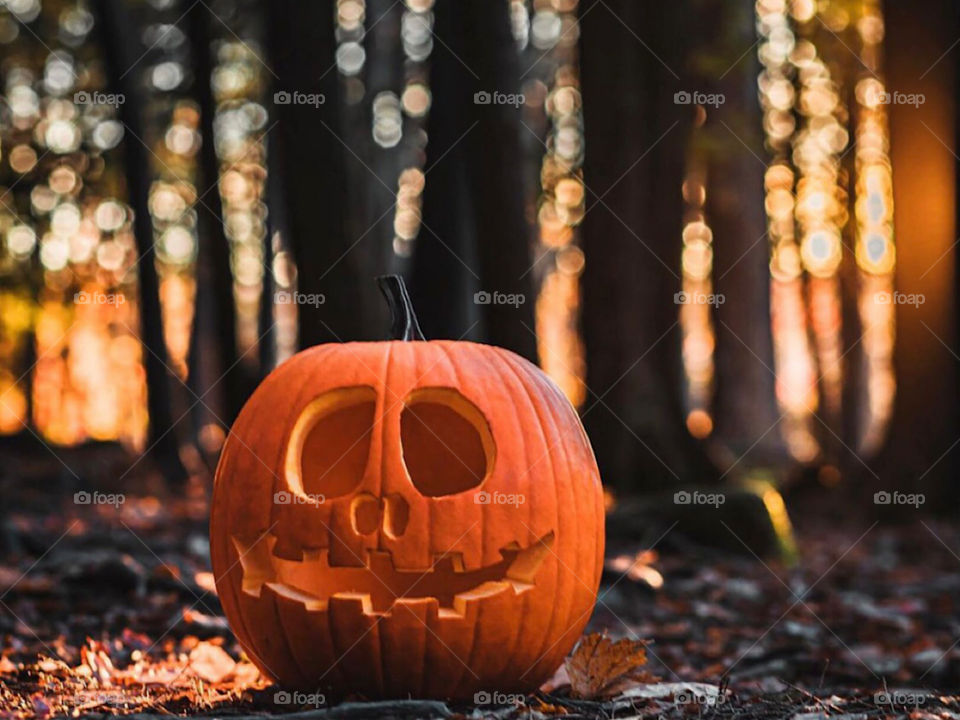 Nice sharp carved pumpkin shot in a forest setting, really sets the halloween vibe🤩