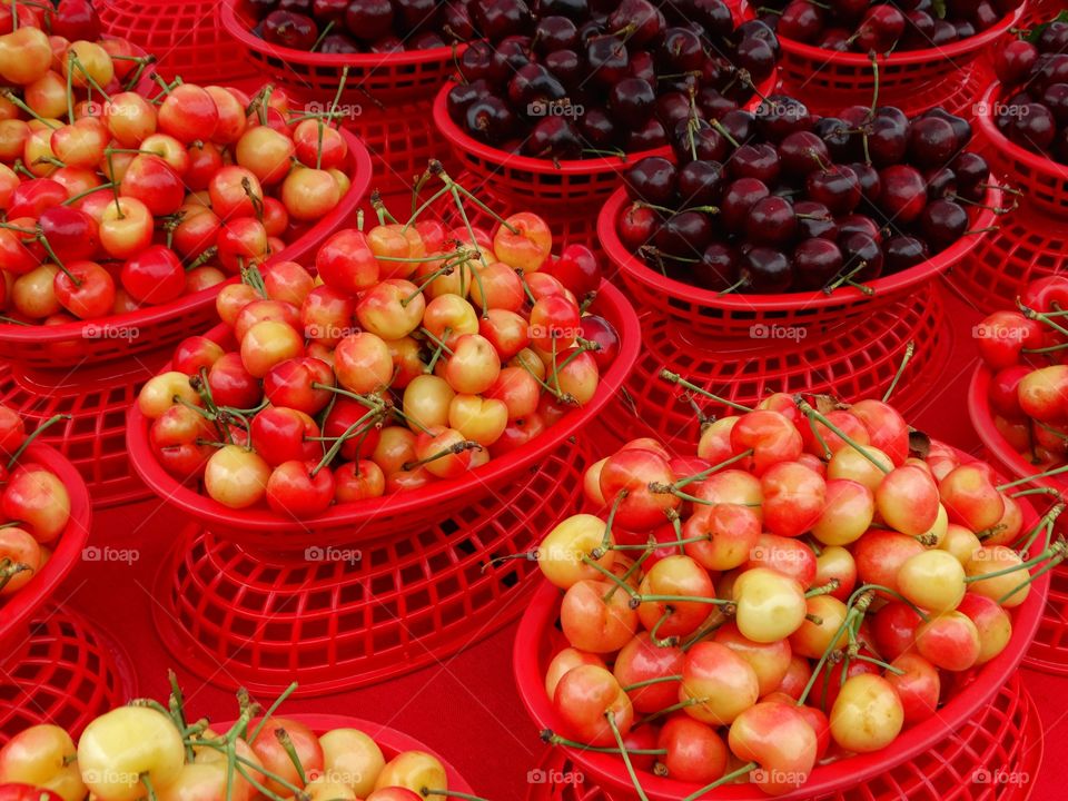 Freshly Picked Cherries
