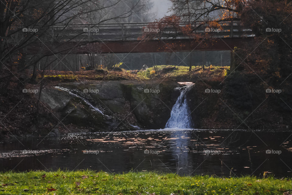 One beautiful day with forest 