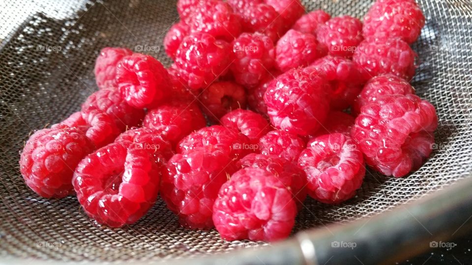 Freshly Washed Raspberry