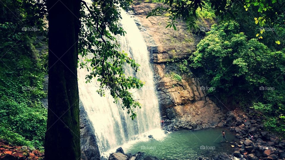 mansoon waterfall