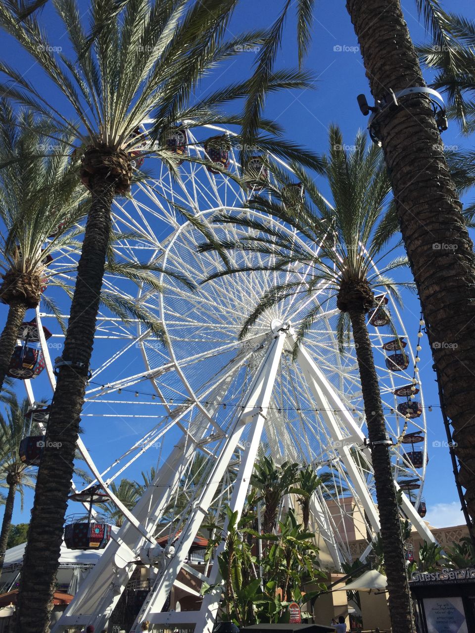 Sunny Ferris Wheel