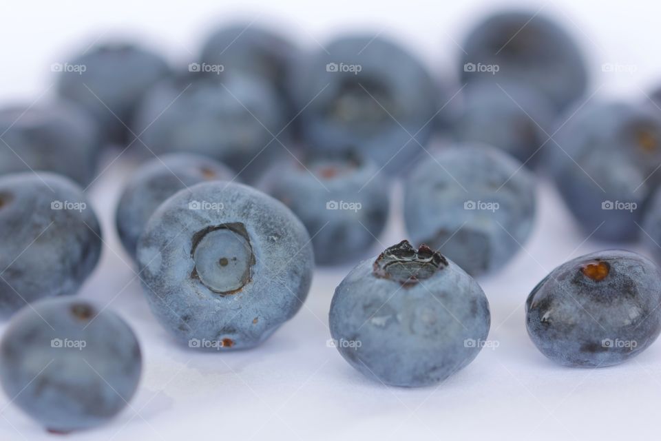 Blueberries on white background