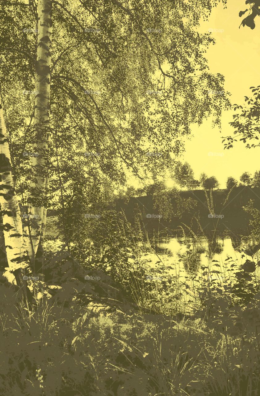 my paint about our river behind our home