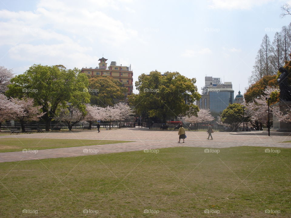 Tree, Park, Building, Home, Landscape