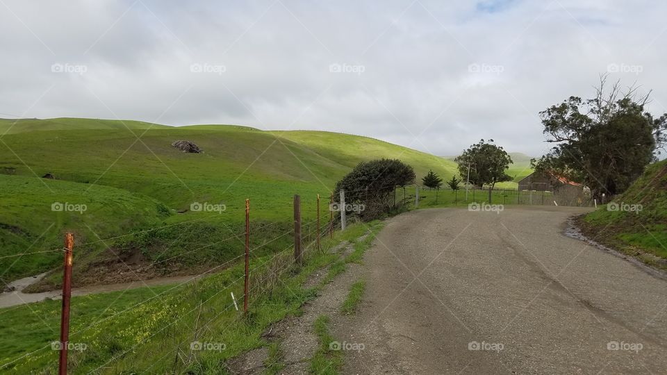 Country Road and green Rolling Hills