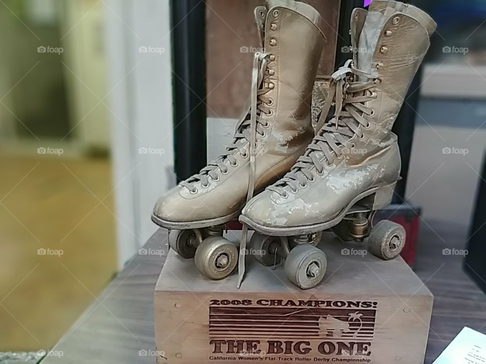 Roller Derby 2008 Champion Trophy