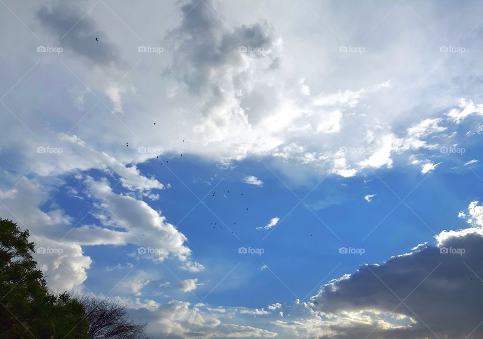 Beautiful Sky After Rain