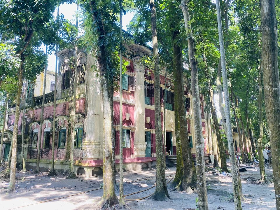 
Capture the majestic beauty of Bethula Jamidhar Bari, a historical palace in Manikganj, Bangladesh, through this photography, showcasing its intricate architecture and rich heritage, frozen in time.