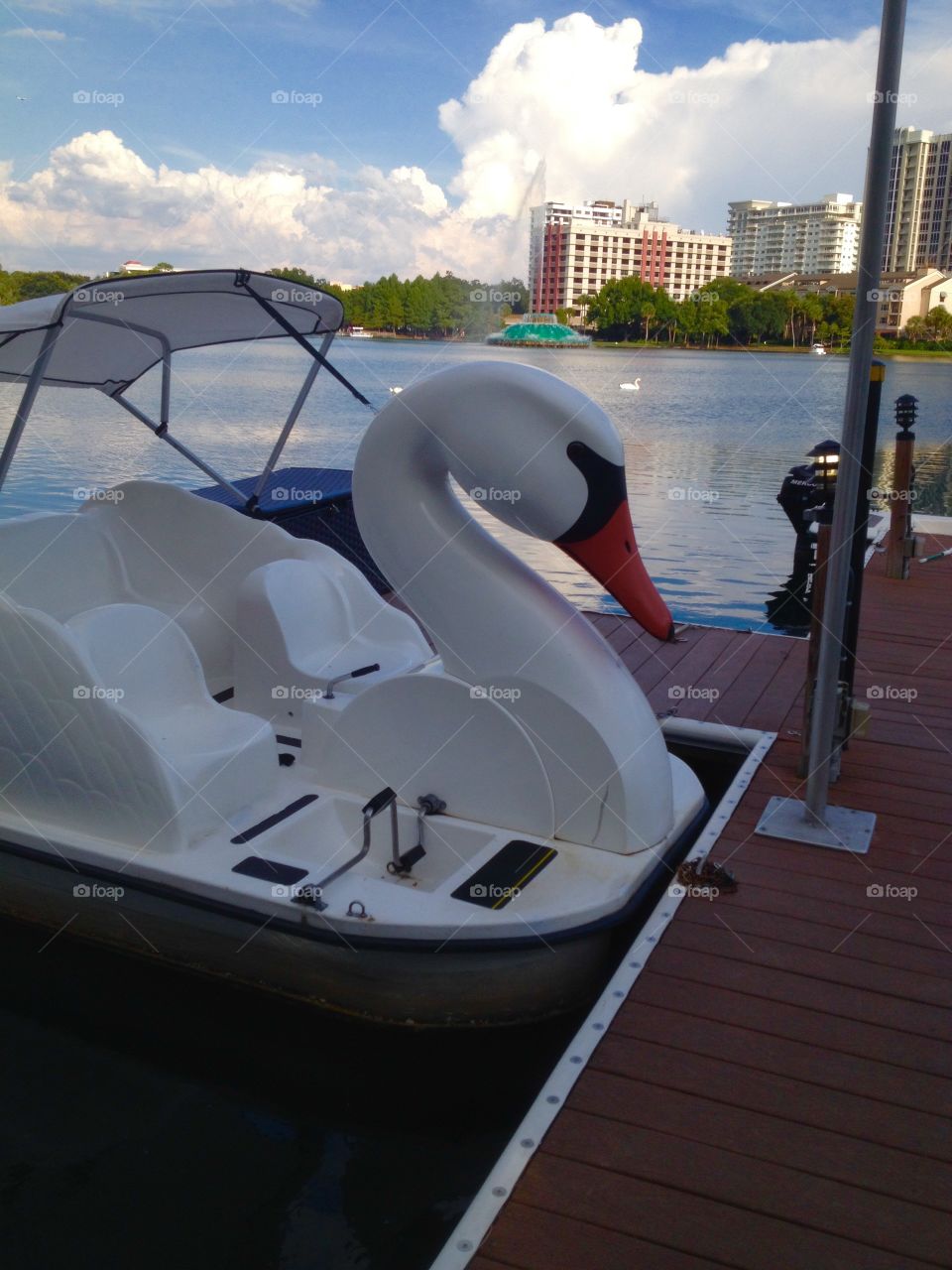 Swann paddle boats 