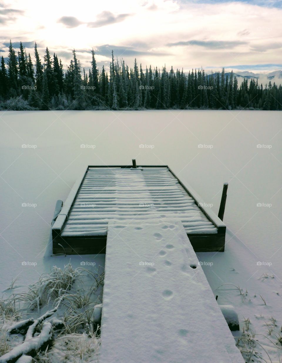 Frozen jetty