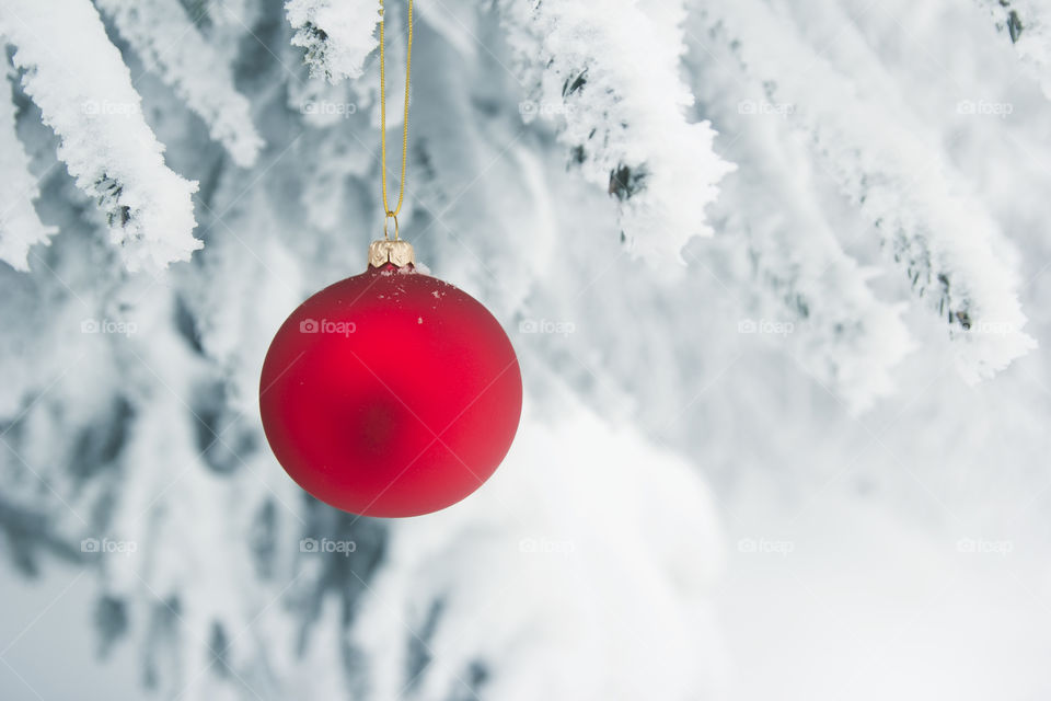 Close-up of a red bauble