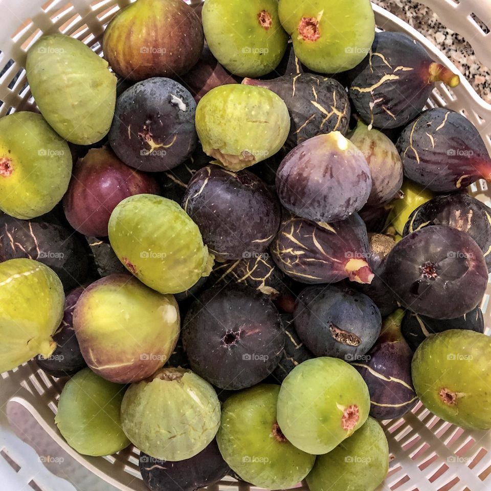 Basket full of green and purple figs, fresh from the tree