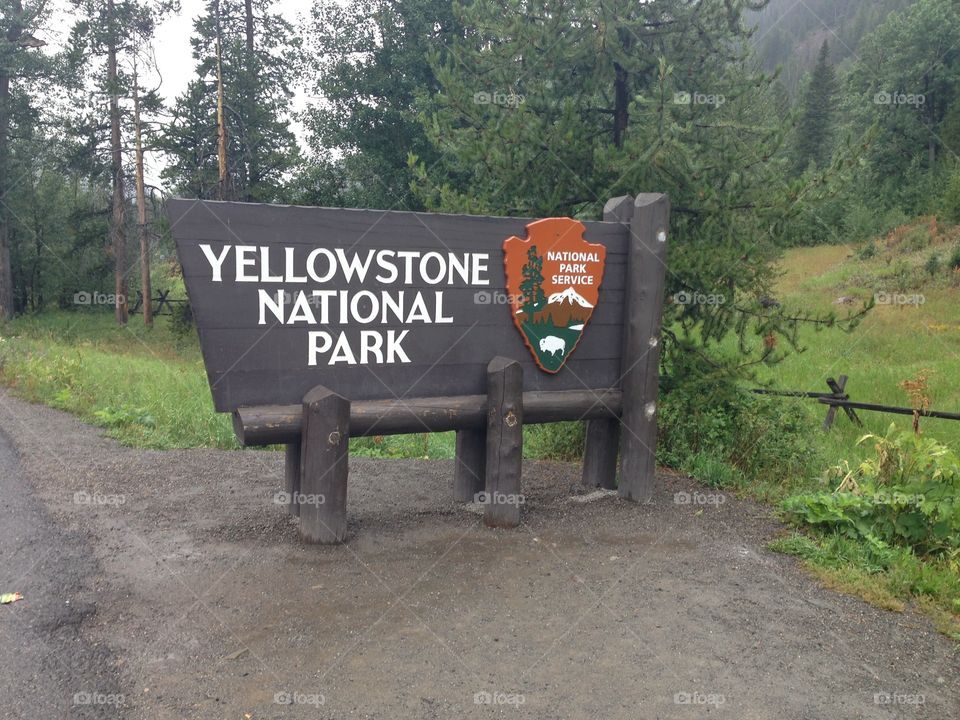 Yellowstone NP my lovely place
