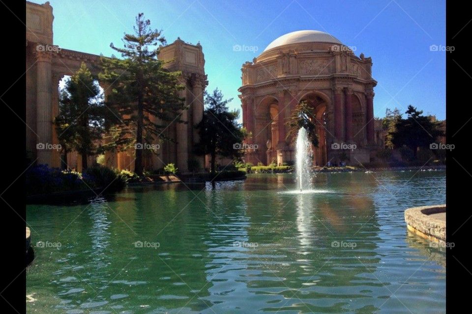 SF Park2