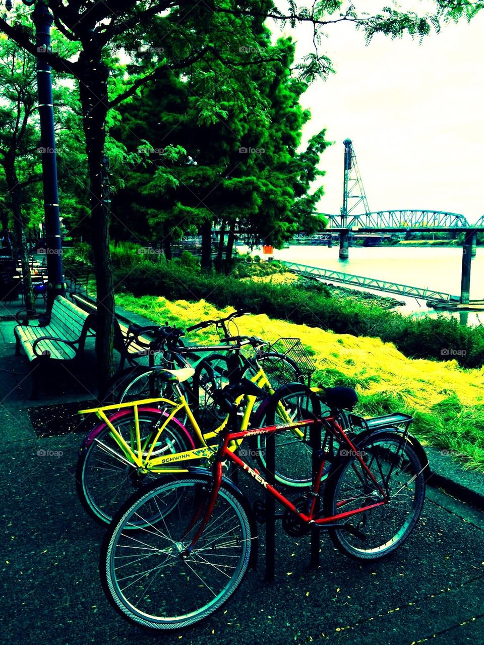 Biking along the River