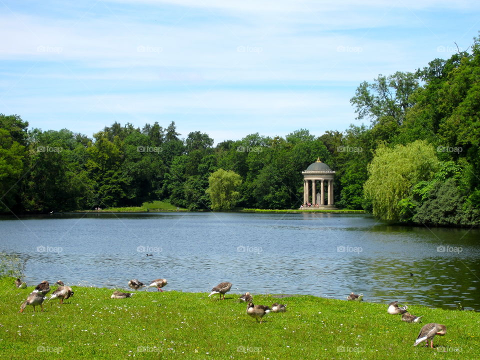 Water, No Person, Summer, Lake, River