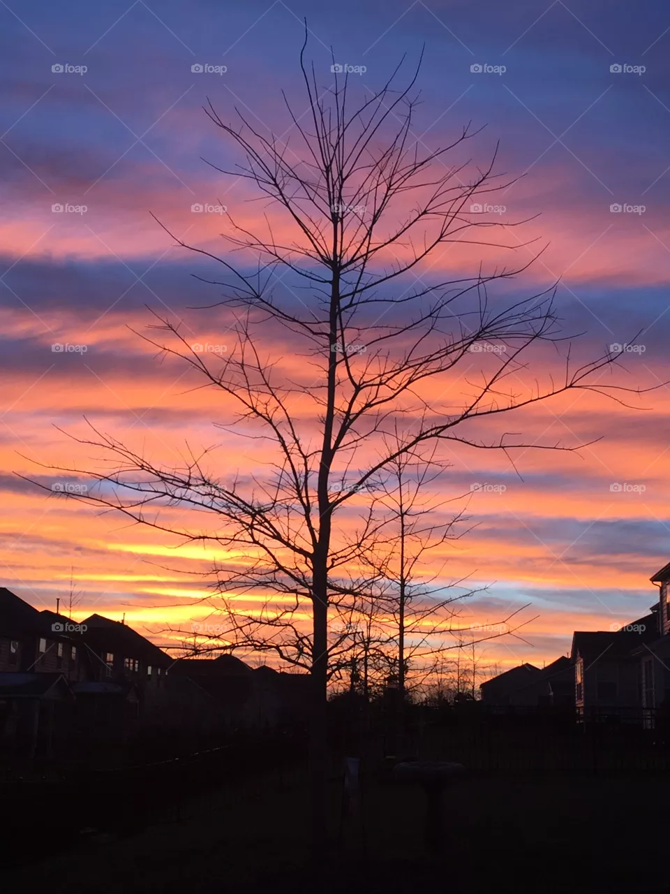 sunset