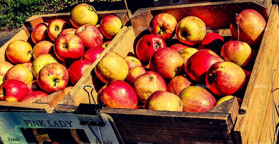 Farmers Market