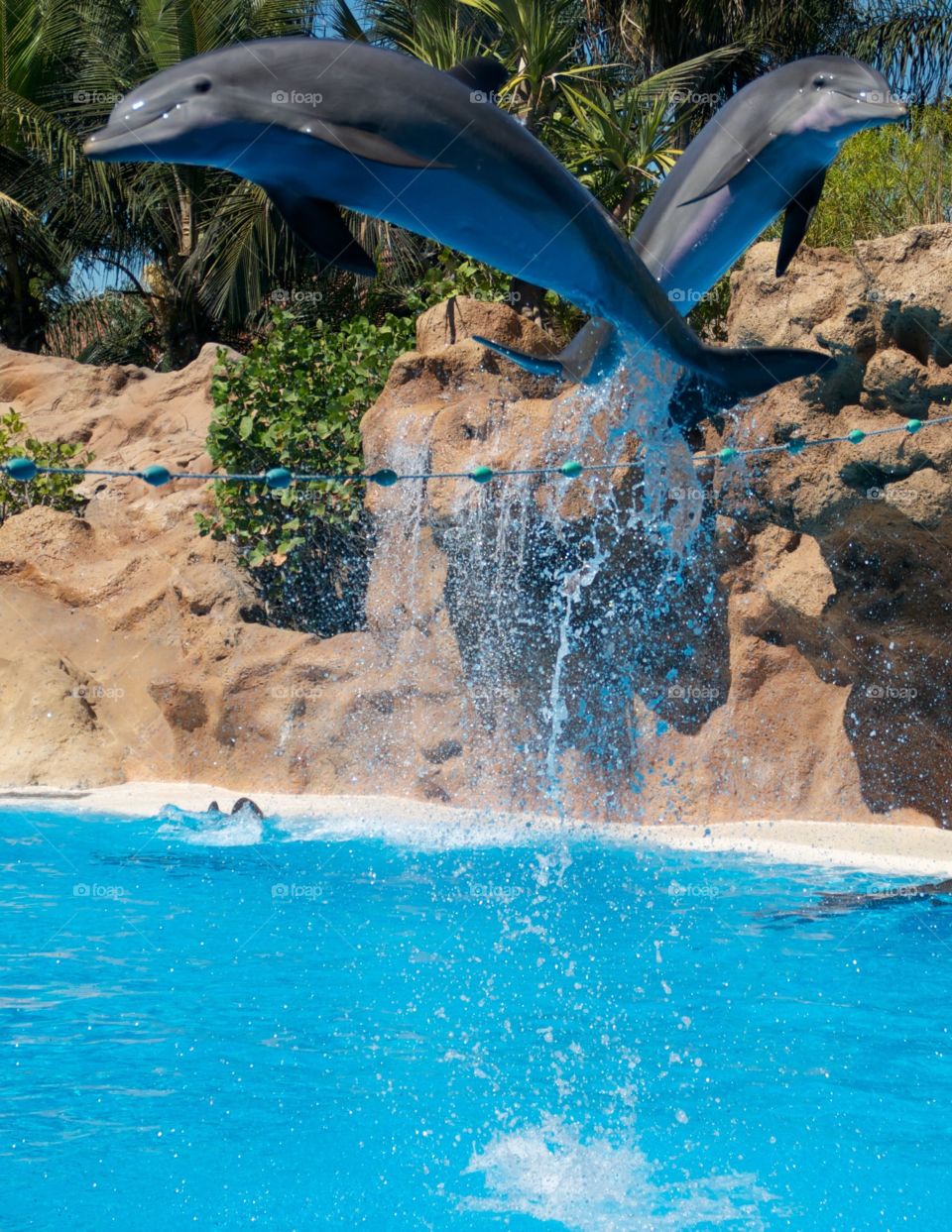 Synchronised jumping 