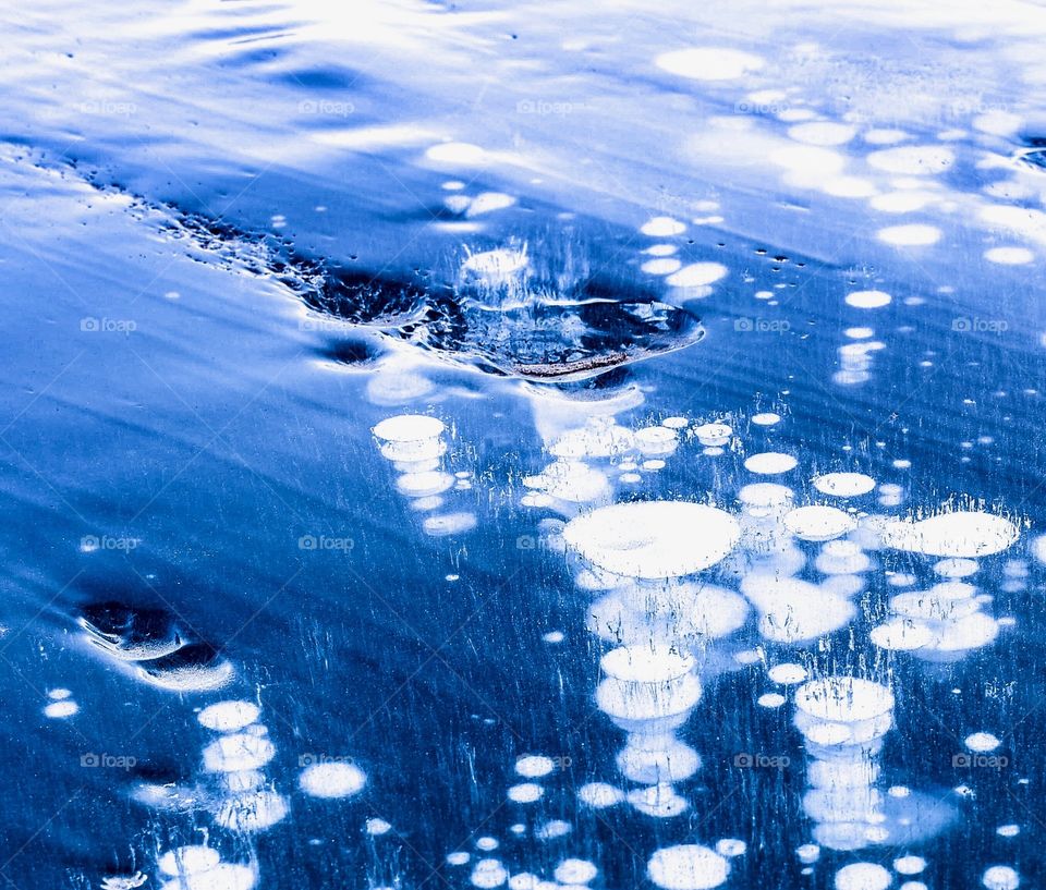 Methane Bubbles Lake Abraham Alberta Canada