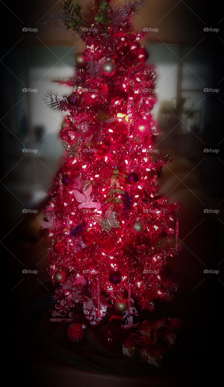 Magenta Christmas tree’s soft glow