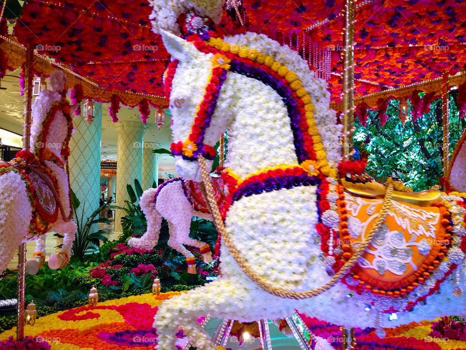 Carousel 