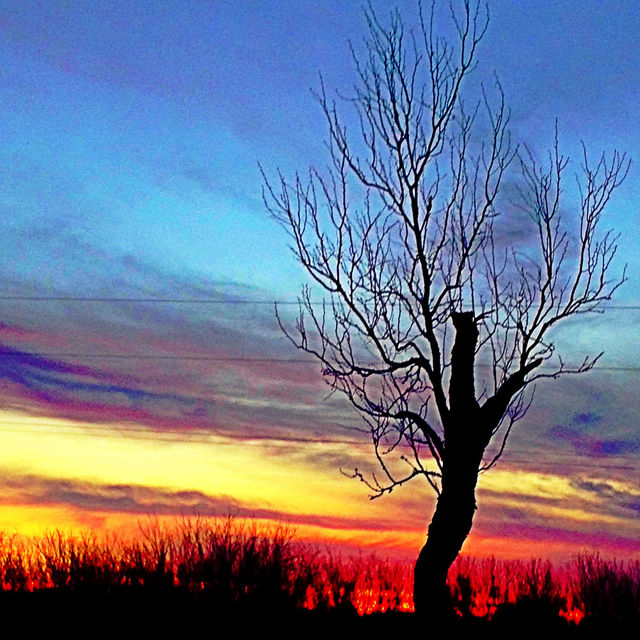 Late afternoon sky