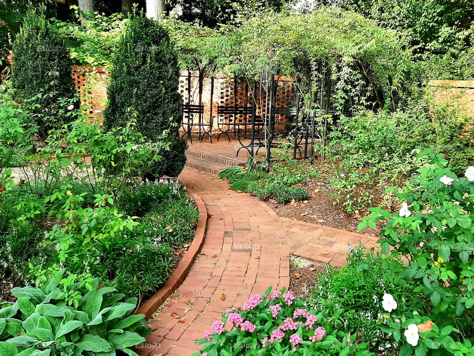 Pergola.Garden shelter.