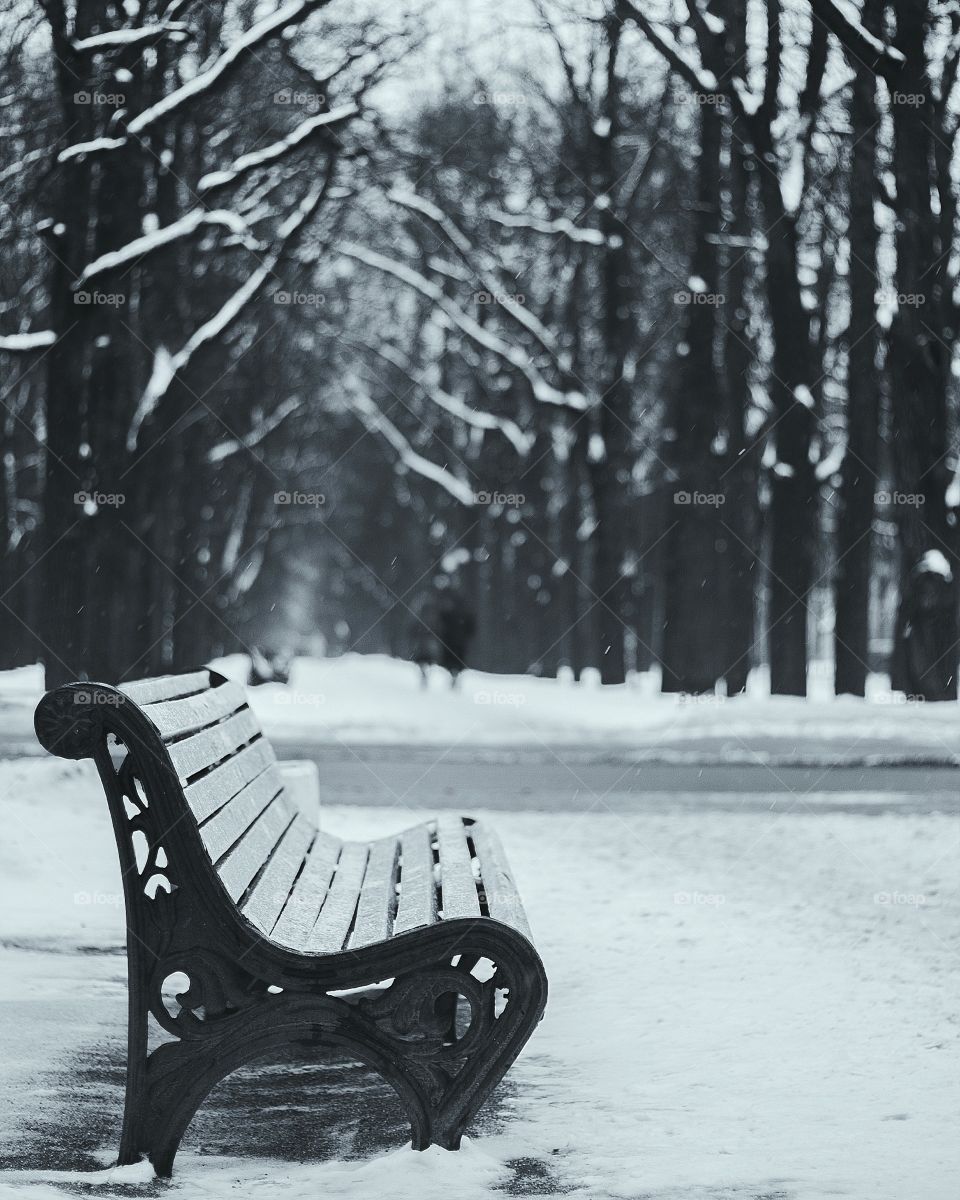 Empty winter bench
