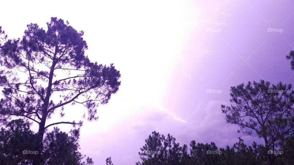 summer lightning flash
