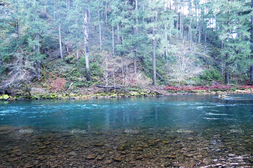 North Umpqua Winter. 