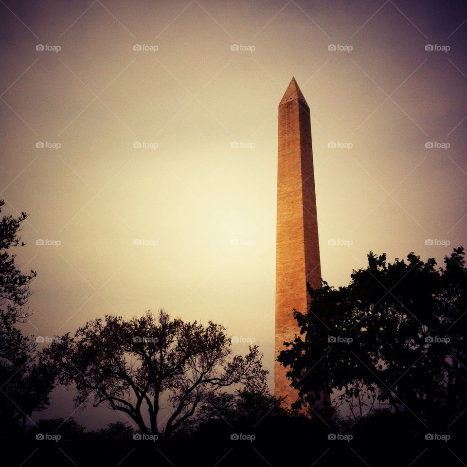 trees monument washington dc by vesparado